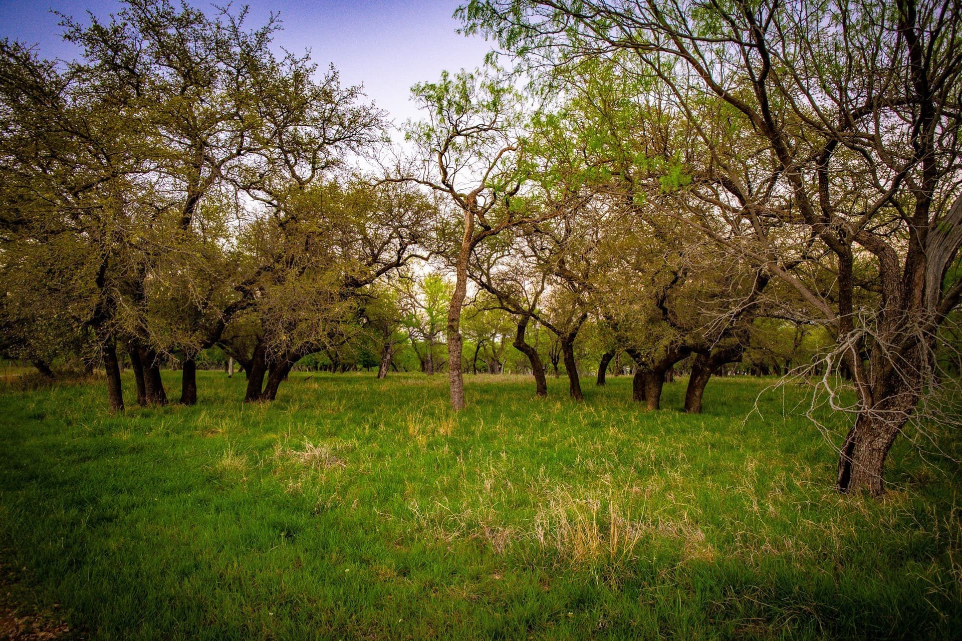 0.85 acres in Palo Pinto County - photo 7