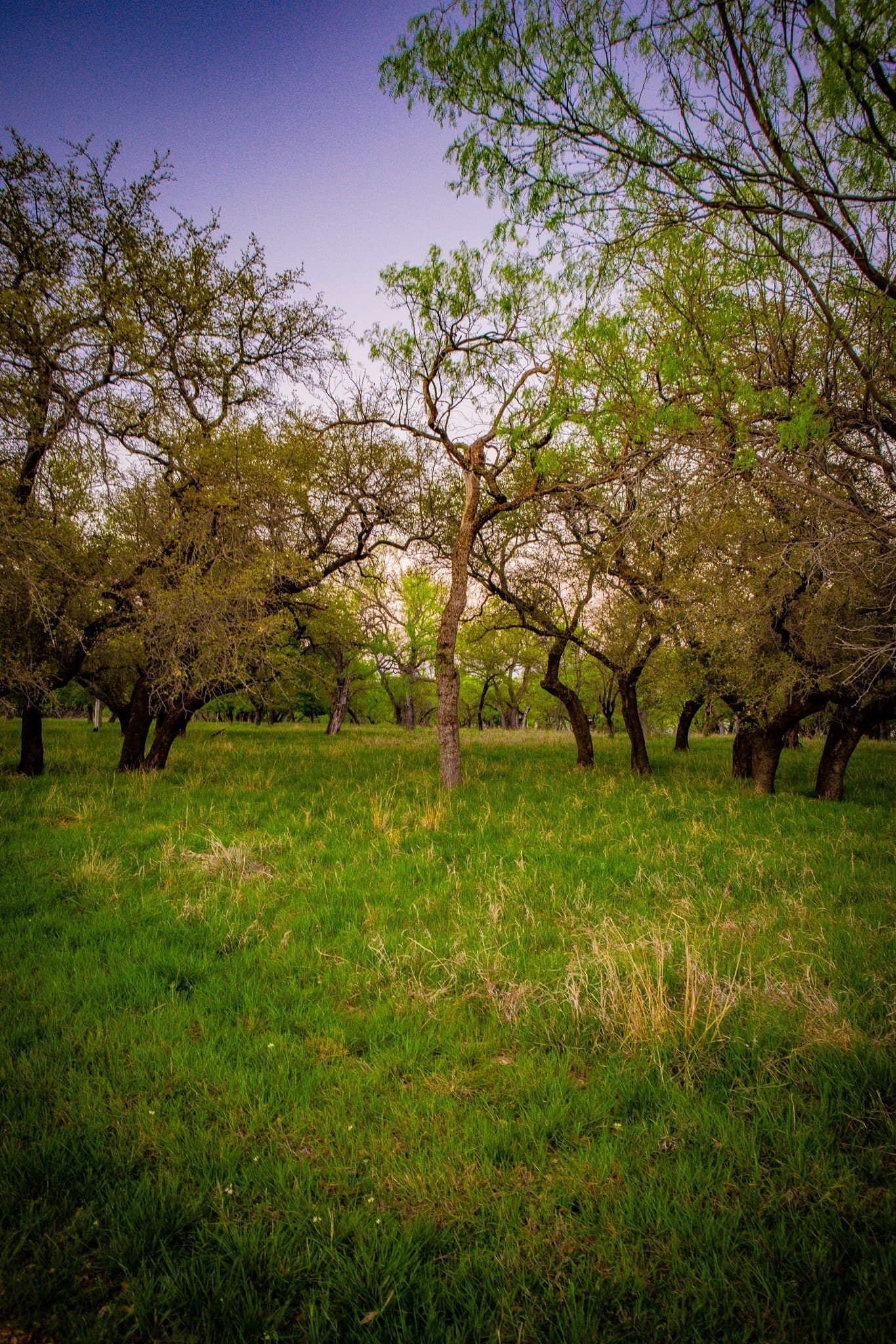 0.85 acres in Palo Pinto County - photo 6
