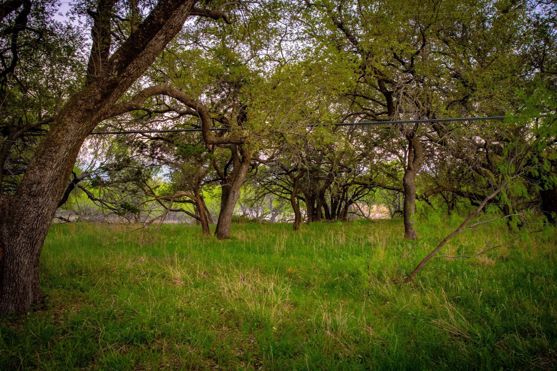0.85 acres in Palo Pinto County - photo 5