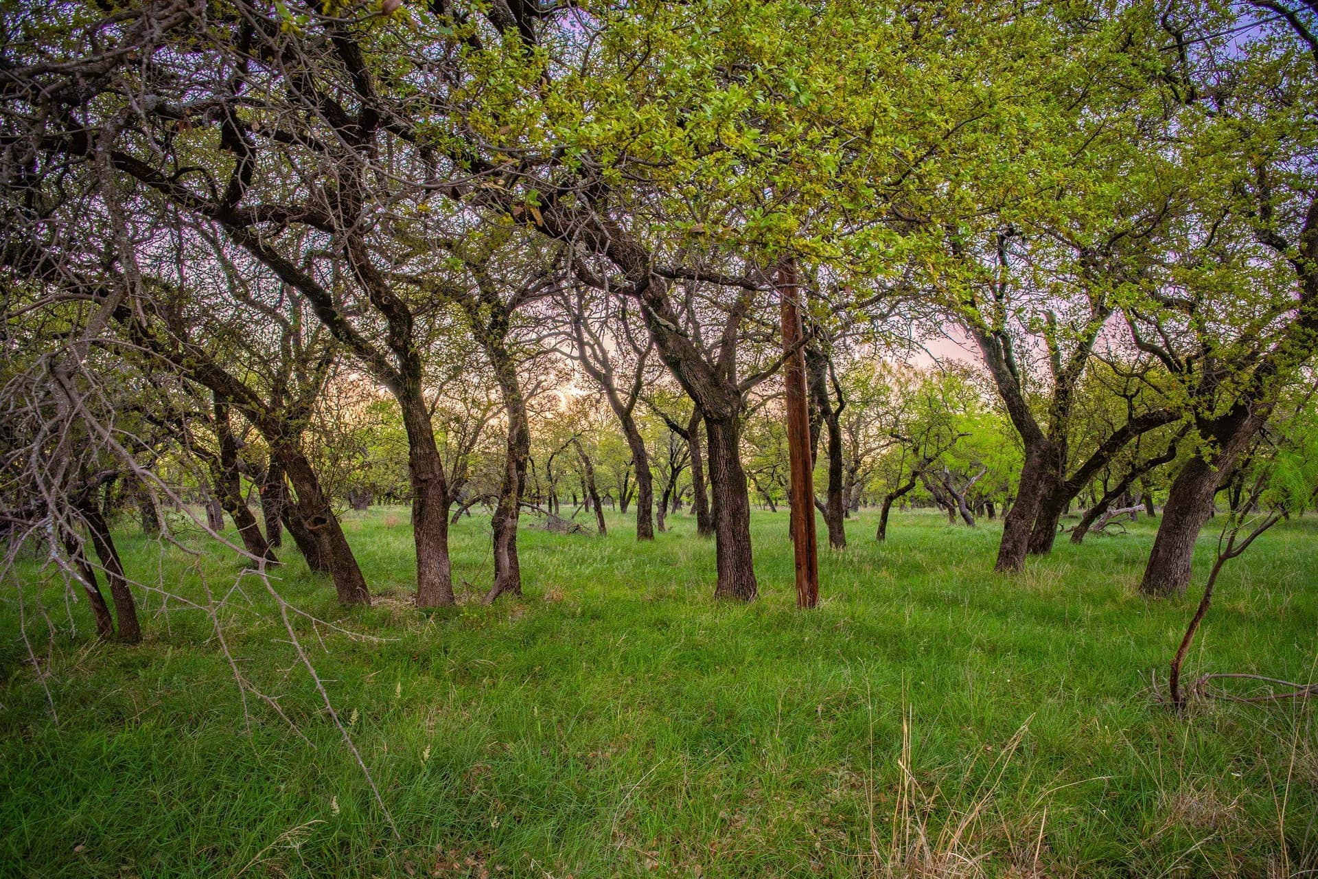 0.85 acres in Palo Pinto County - photo 3