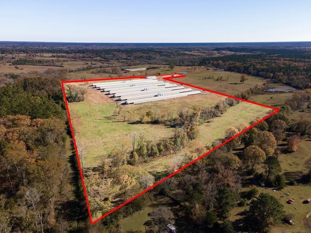 40 acres in Texas County gallery image 4