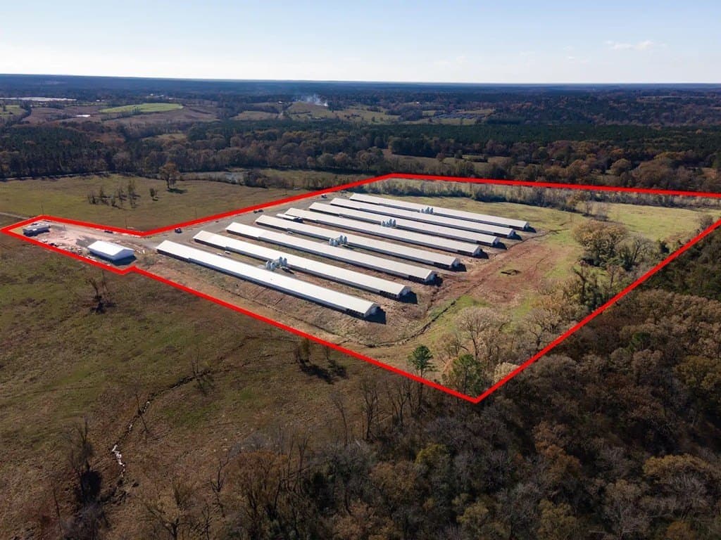 40 acres in Texas County gallery image 3