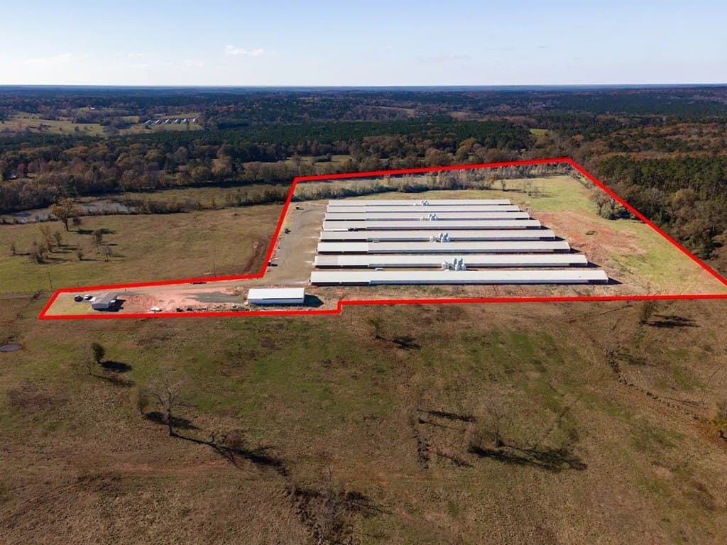 40 acres in Texas County gallery image 2