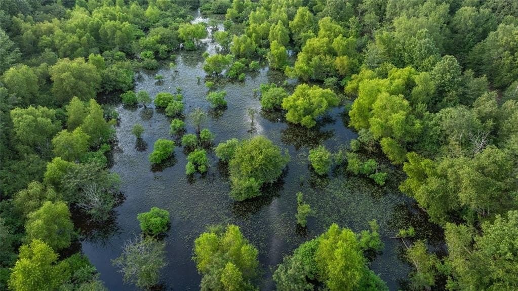 1,203 acres in Upshur County