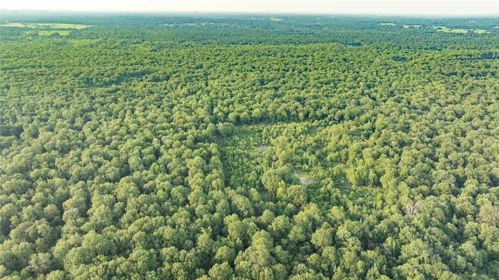 1,203 acres in Upshur County featured view