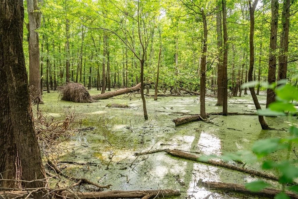 1,203 acres in Upshur County gallery image 3