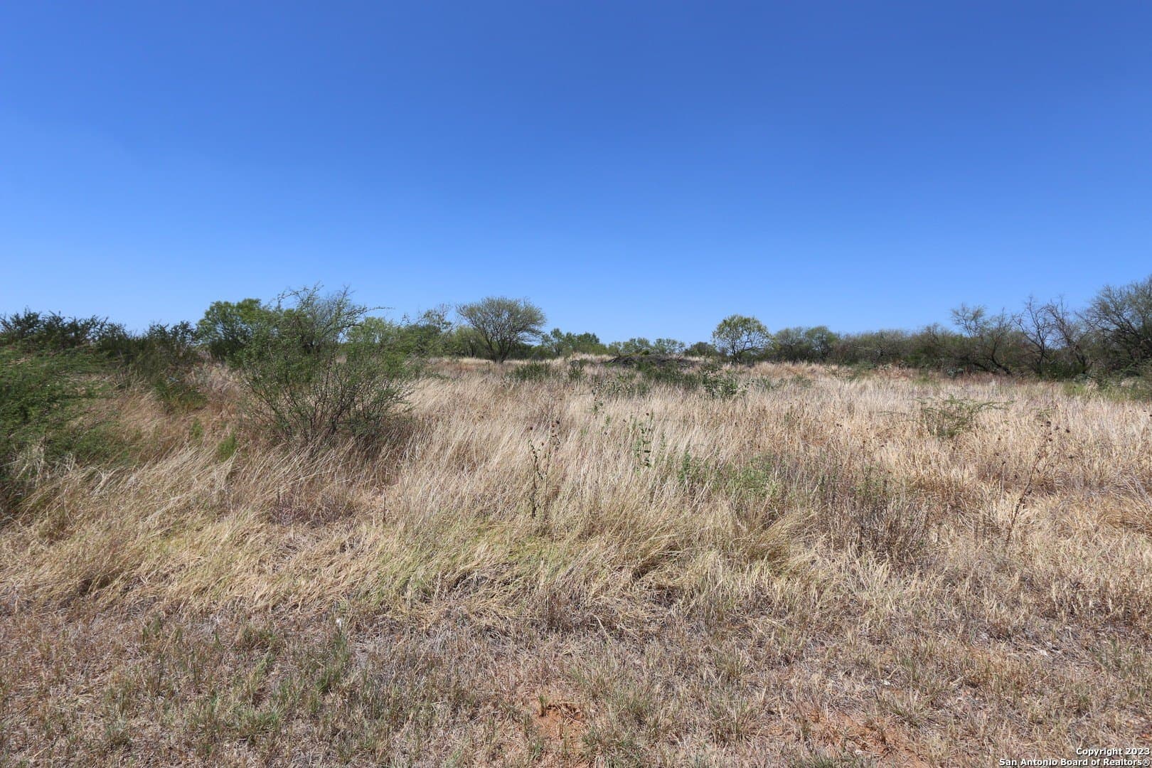 1 acres in Frio County gallery image 3