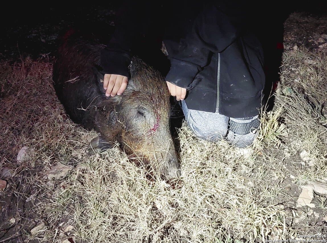 39.47 acres in Edwards County gallery image 3