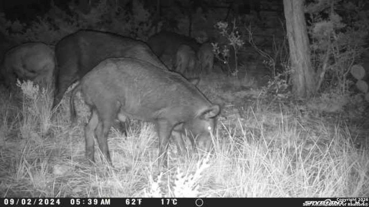 39.47 acres in Edwards County gallery image 2