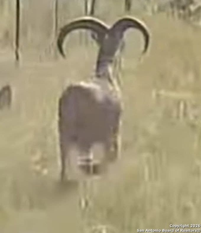 39.47 acres in Edwards County