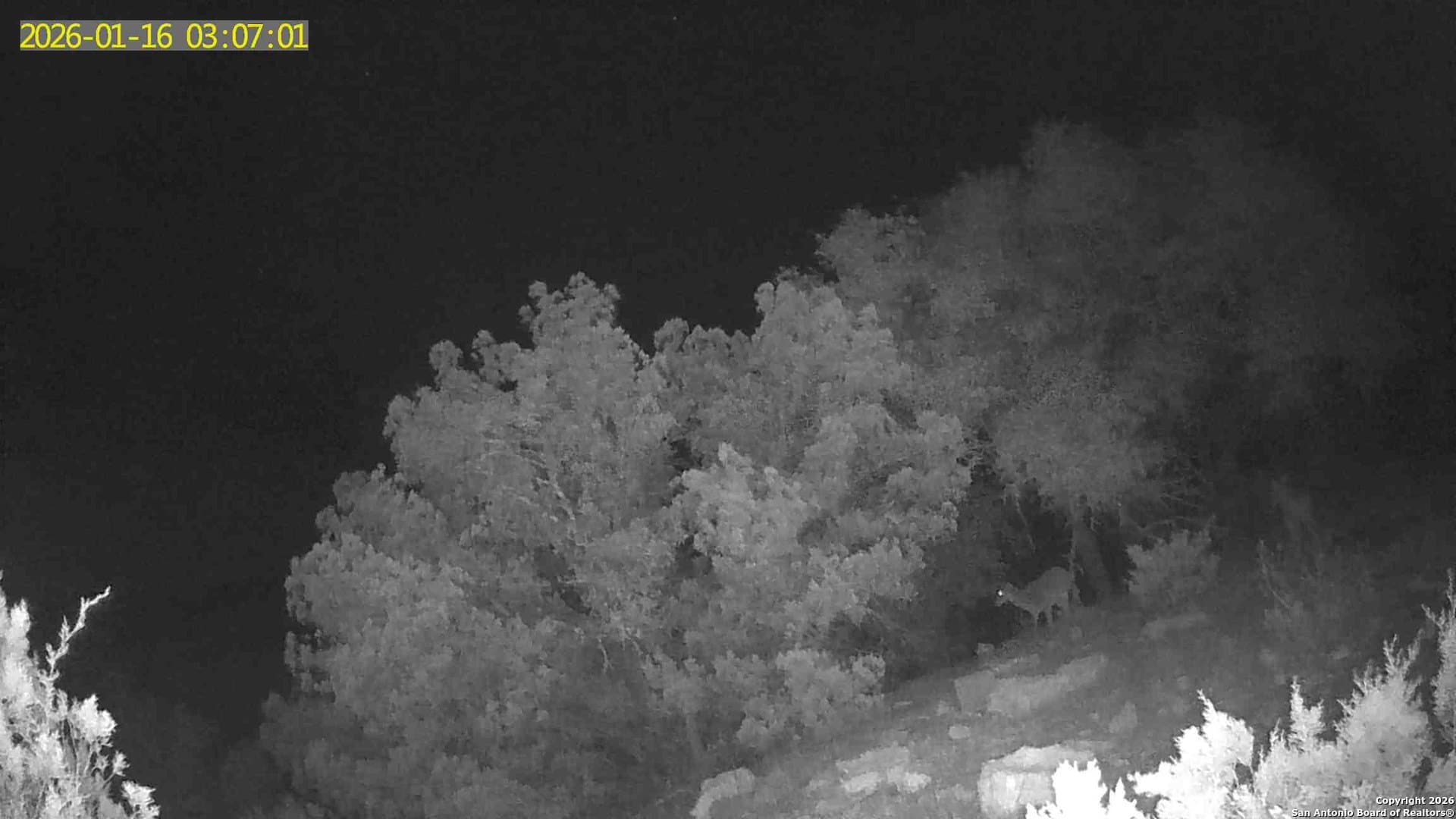 39.47 acres in Edwards County gallery image 4