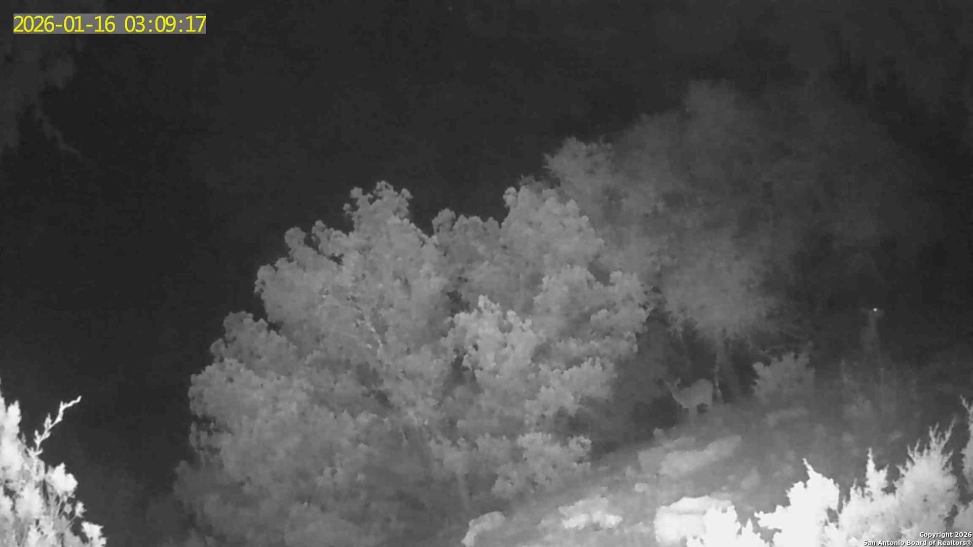 39.47 acres in Edwards County featured view