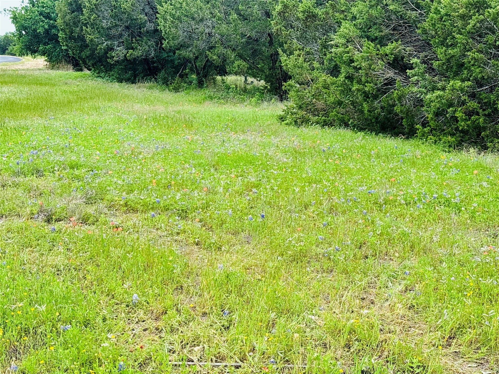 0.22 acres in Johnson County gallery image 2