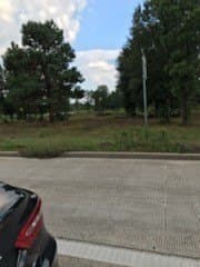 4.48 acres in Liberty County gallery image 4
