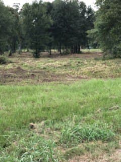 4.48 acres in Liberty County gallery image 3