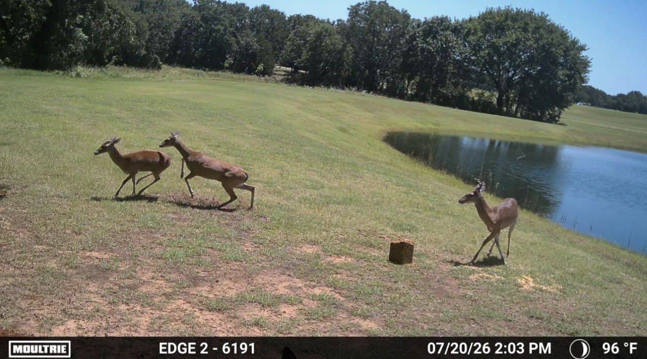 59.29 acres in Hill County - photo 33