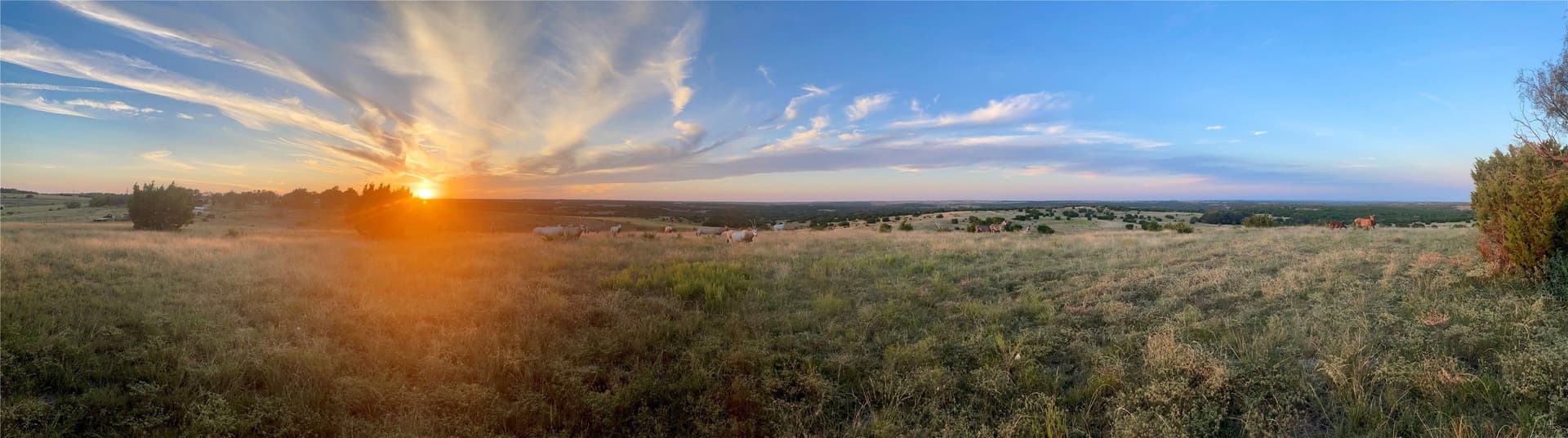 366.47 acres in Burnet County - photo 7