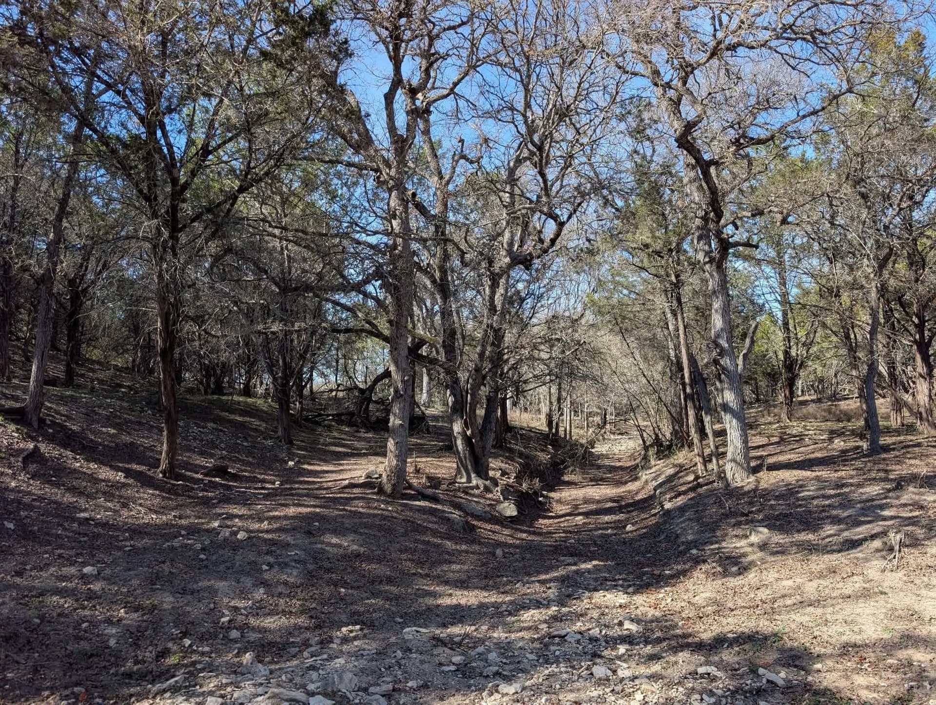 366.47 acres in Burnet County - photo 39