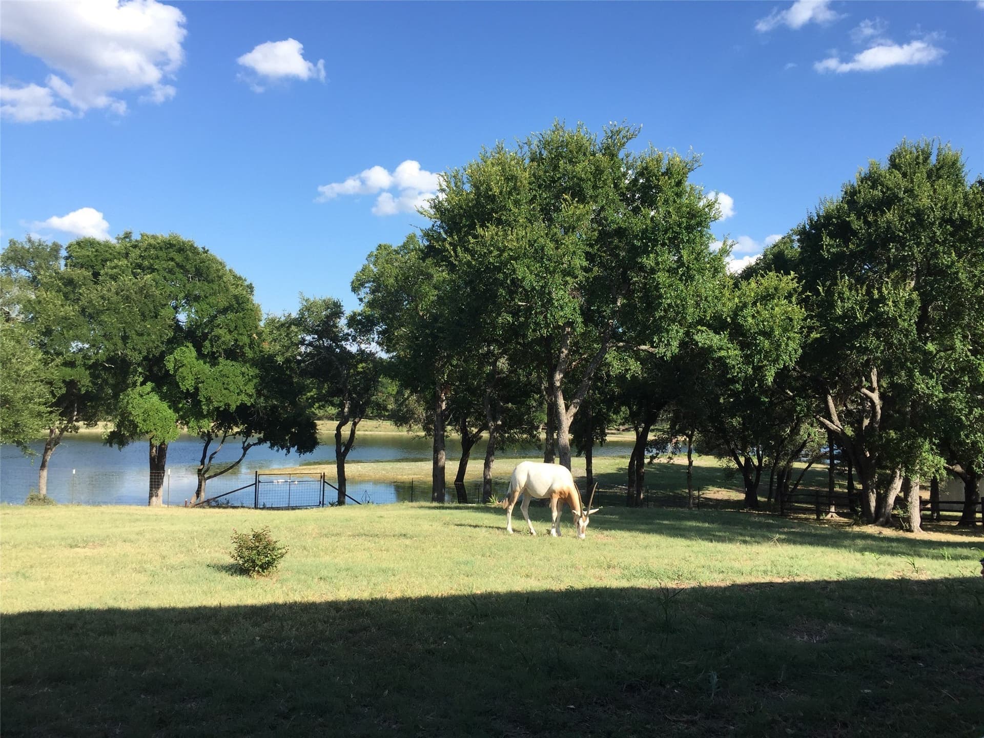366.47 acres in Burnet County - photo 27