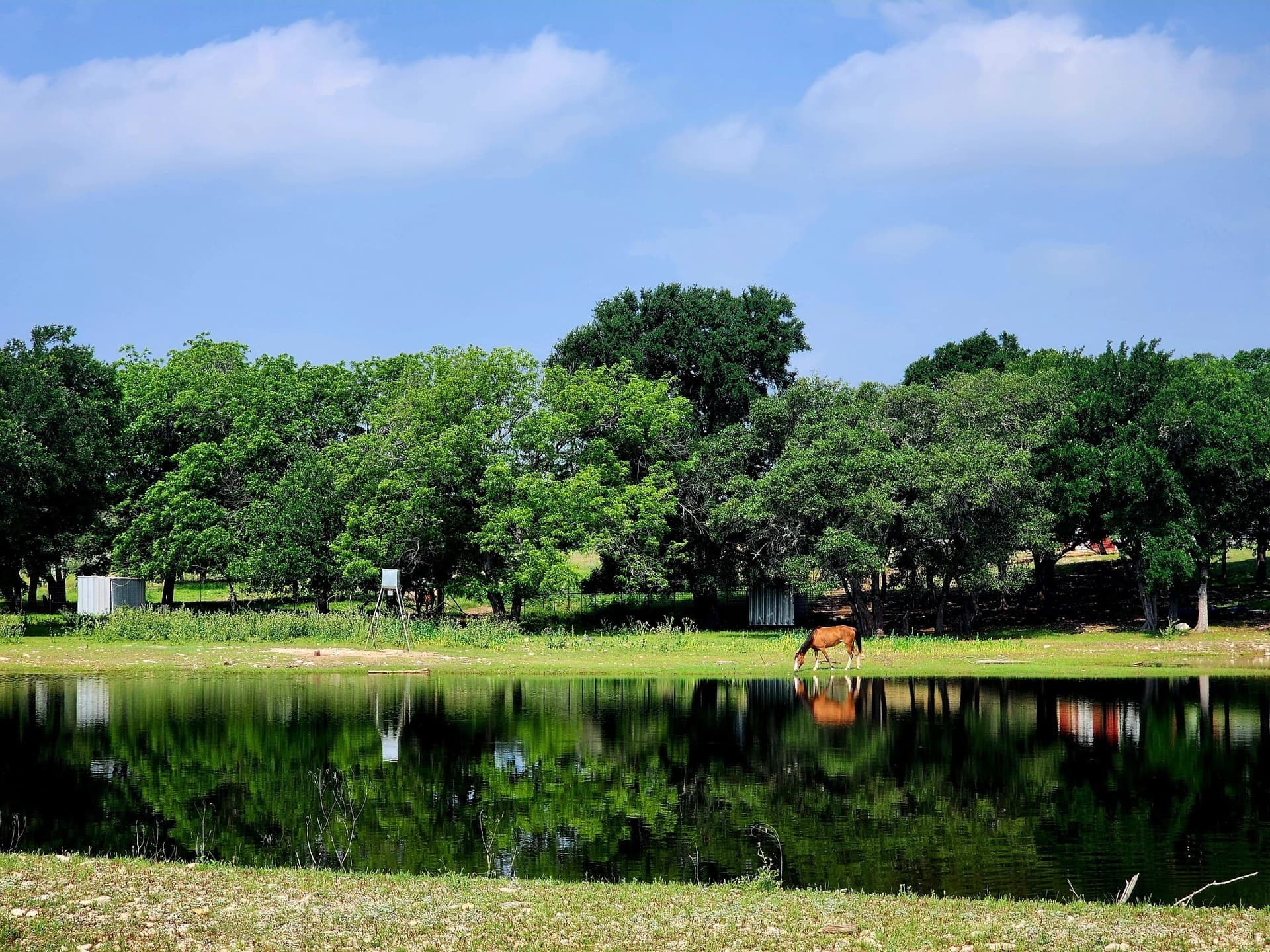 366.47 acres in Burnet County gallery image 2