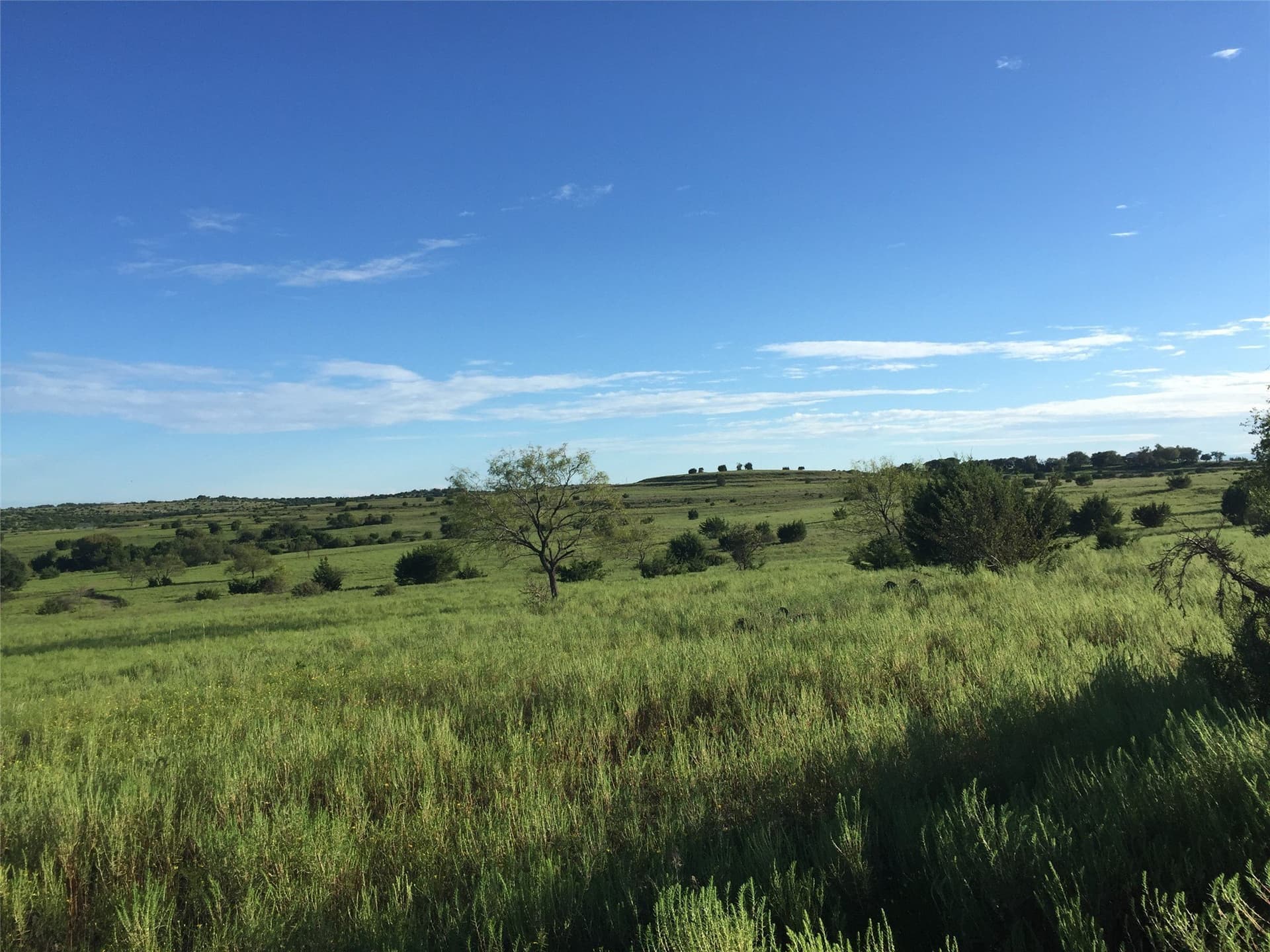 366.47 acres in Burnet County - photo 28