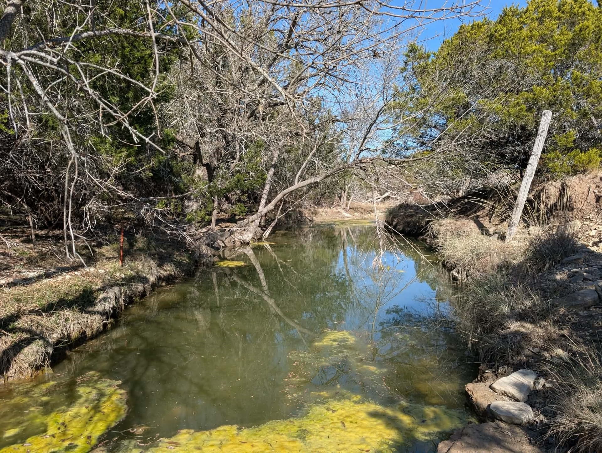 366.47 acres in Burnet County - photo 33