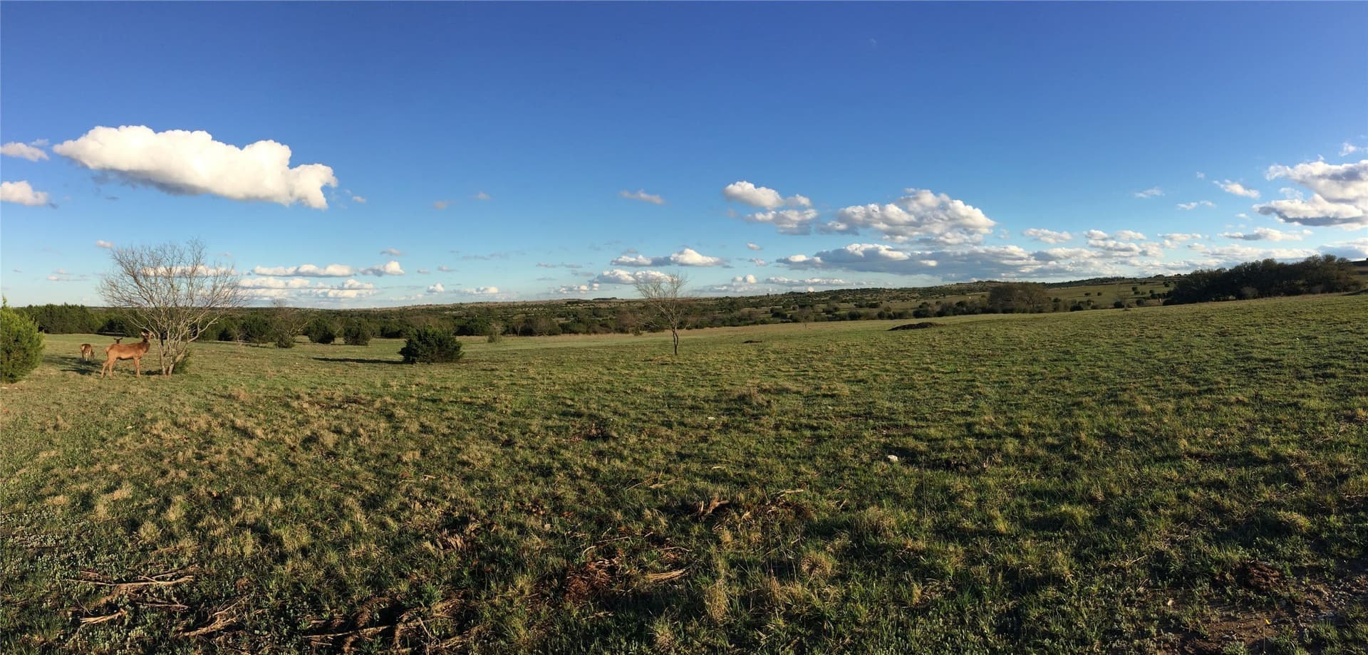 366.47 acres in Burnet County - photo 23