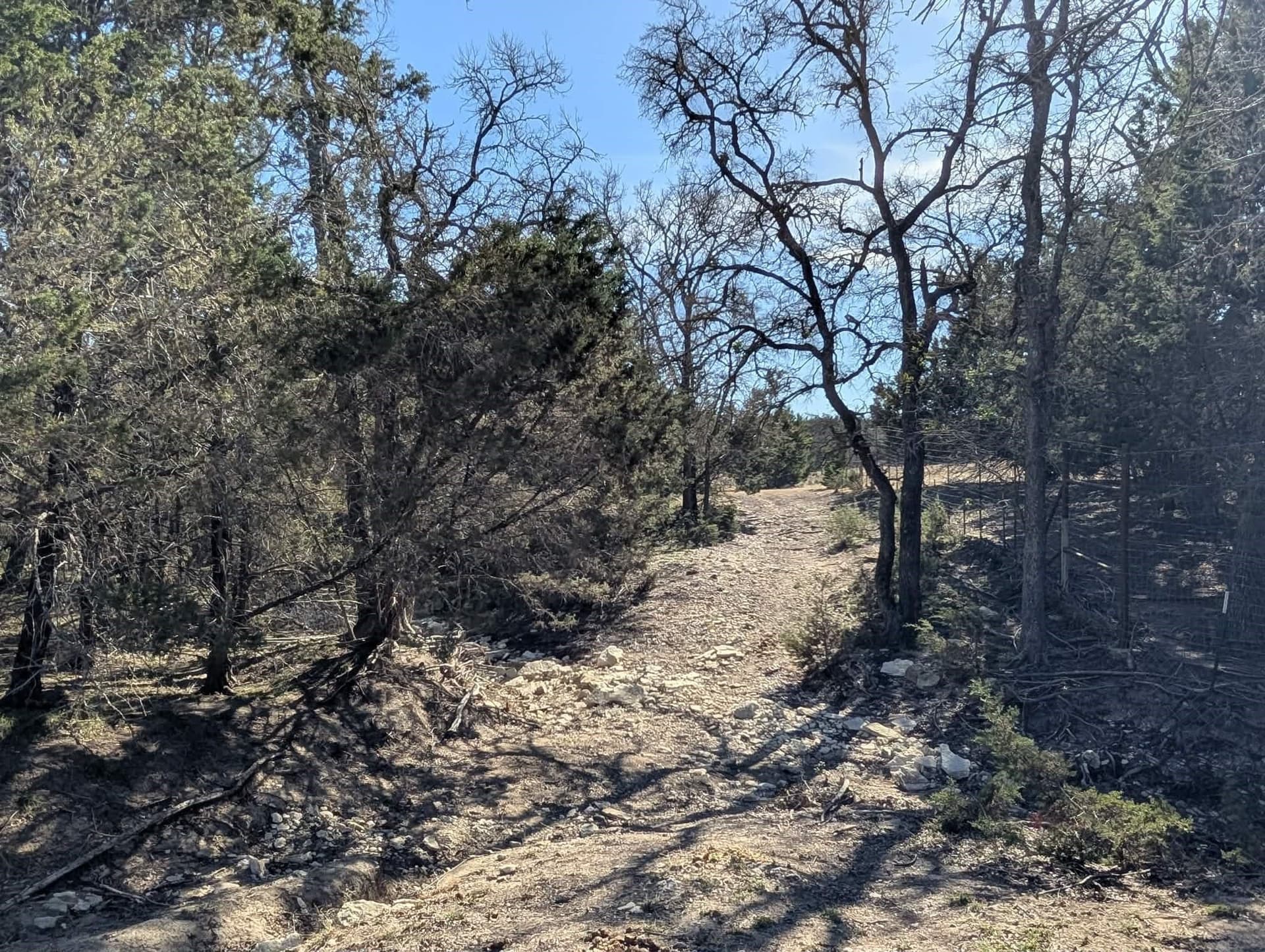 366.47 acres in Burnet County - photo 34