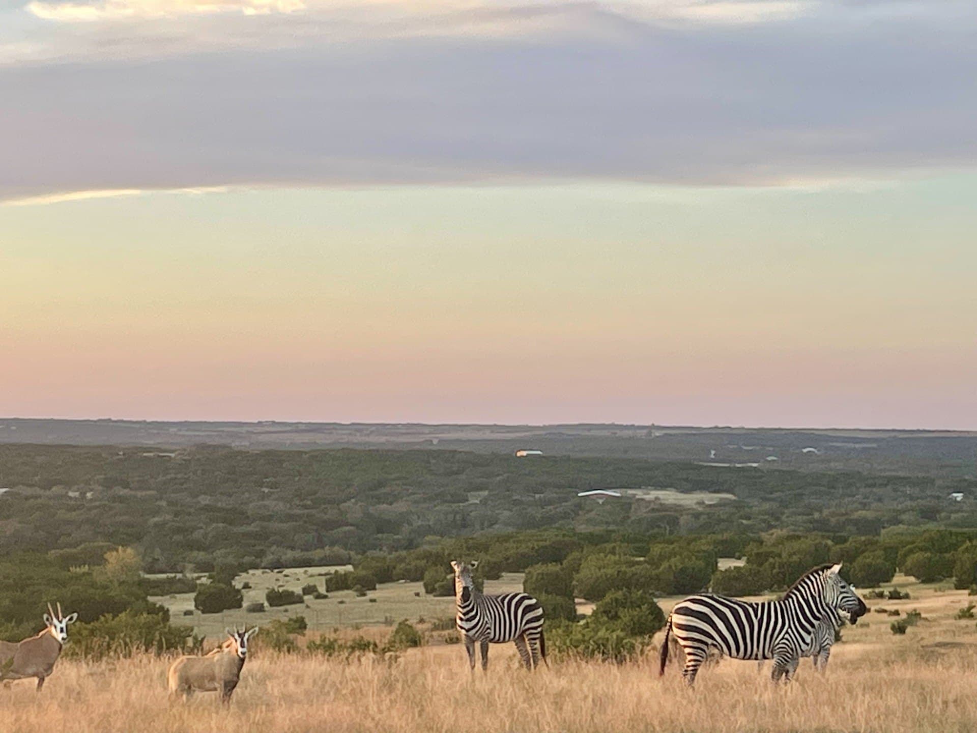 366.47 acres in Burnet County - photo 32