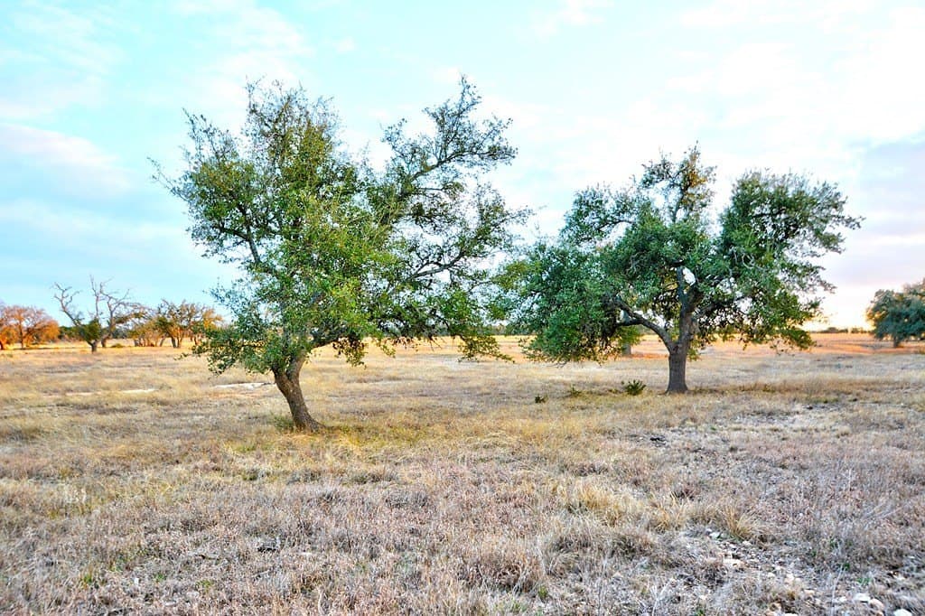 5.1 acres in Gillespie County - photo 4