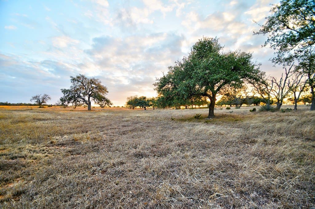 5.1 acres in Gillespie County - photo 3