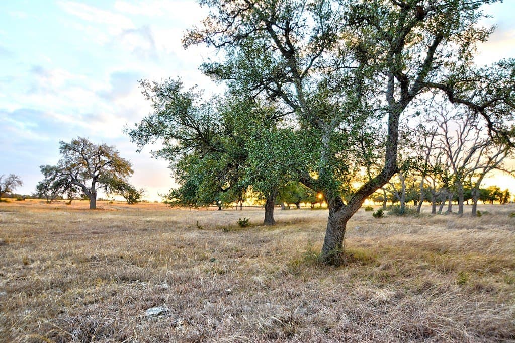 5.1 acres in Gillespie County - photo 7