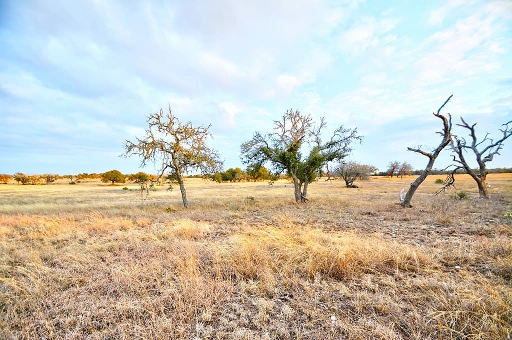5.1 acres in Gillespie County - photo 5