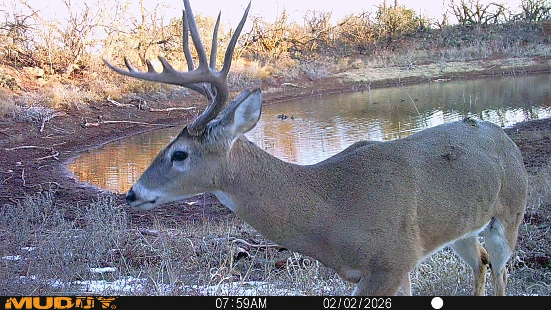 42.04 acres in Taylor County gallery image 2