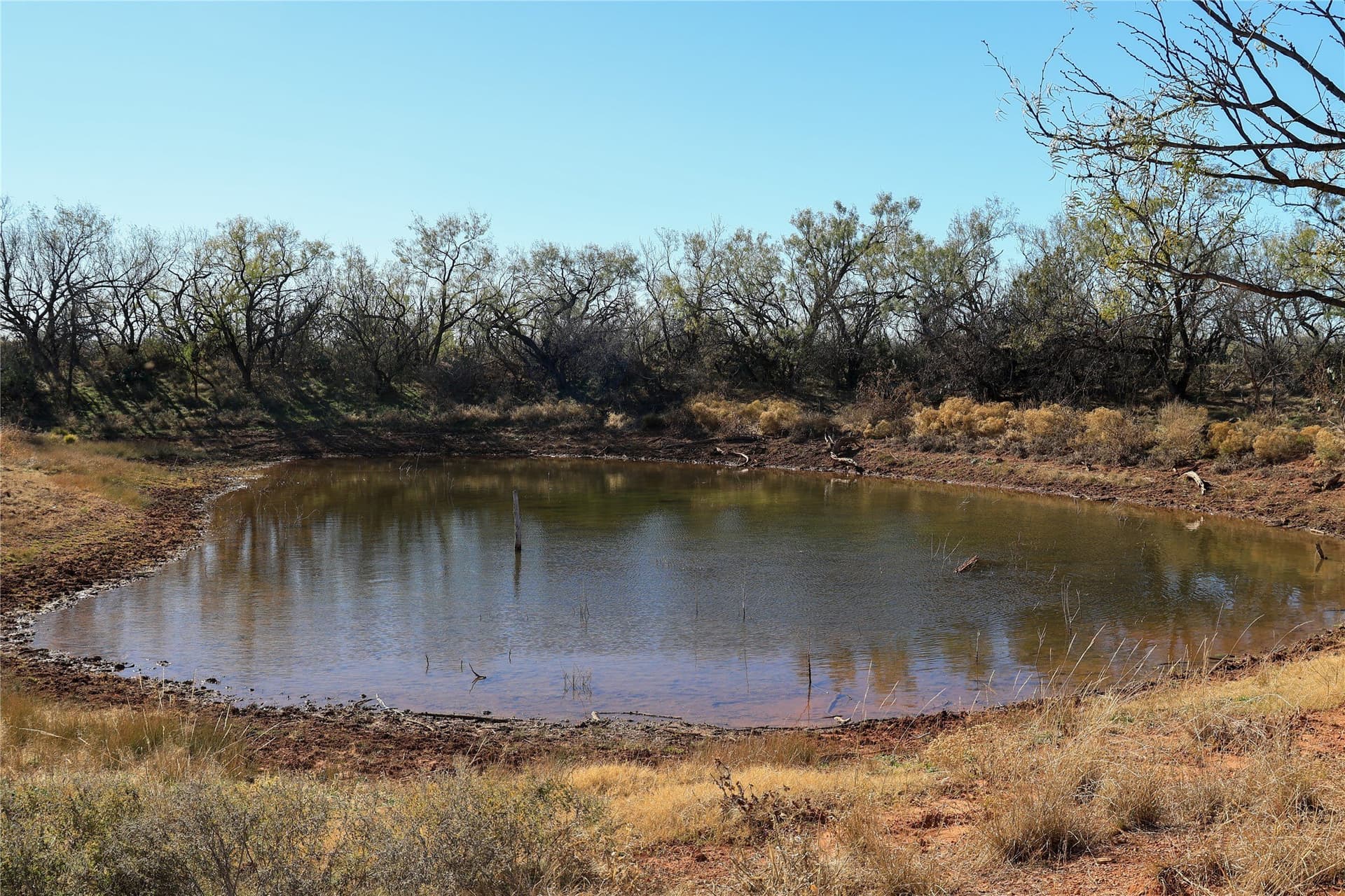 42.04 acres in Taylor County