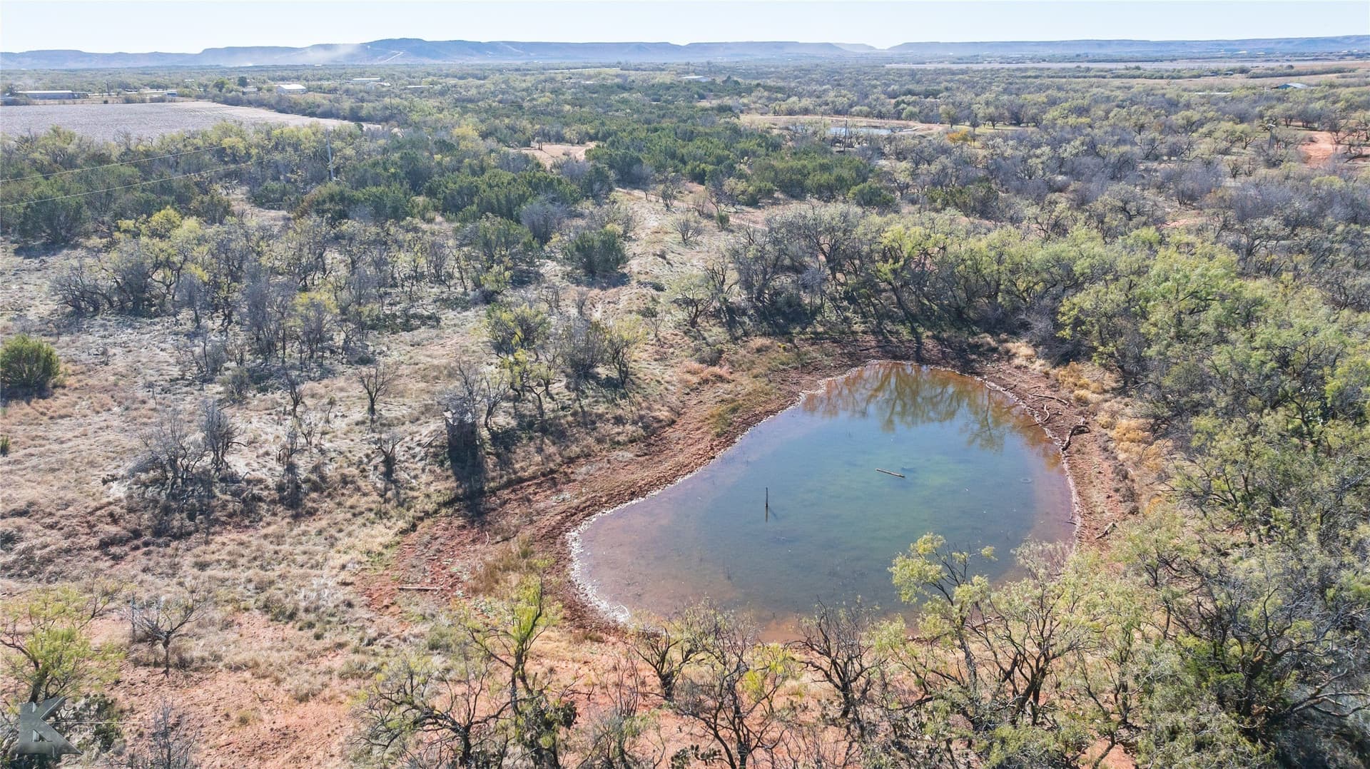 42.04 acres in Taylor County gallery image 3
