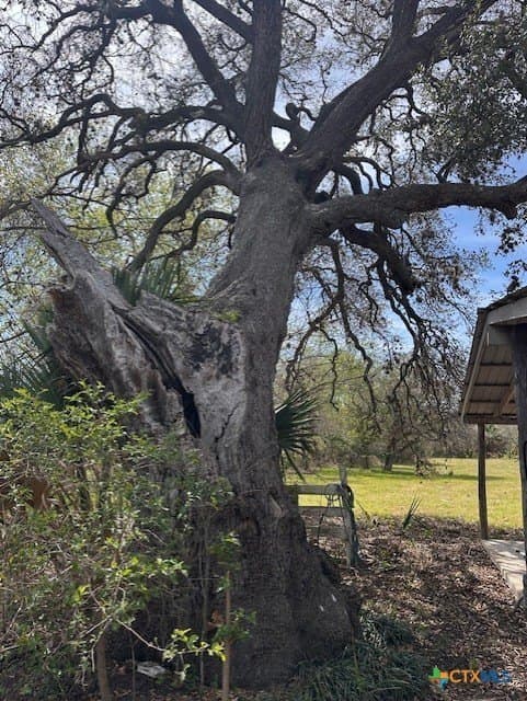 0.88 acres in Goliad County gallery image 3