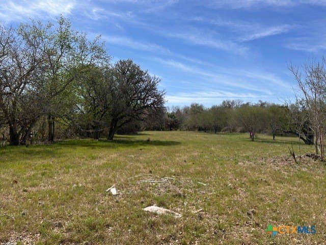 0.88 acres in Goliad County gallery image 2