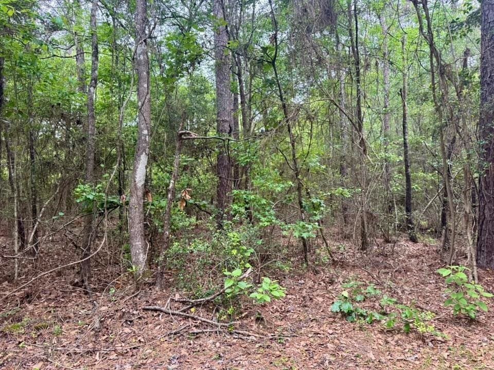 33.7 acres in Texas County - photo 9