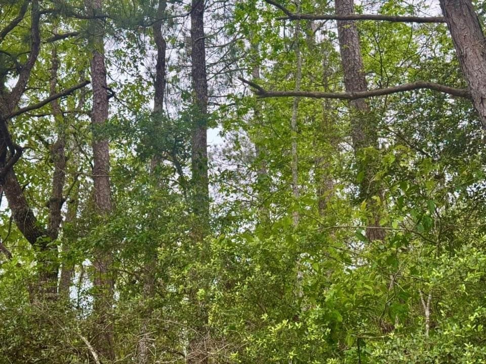 33.7 acres in Texas County - photo 15