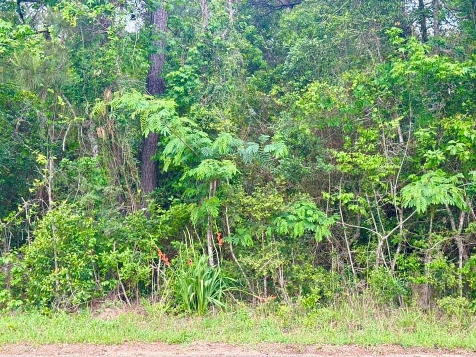 33.7 acres in Texas County - photo 10