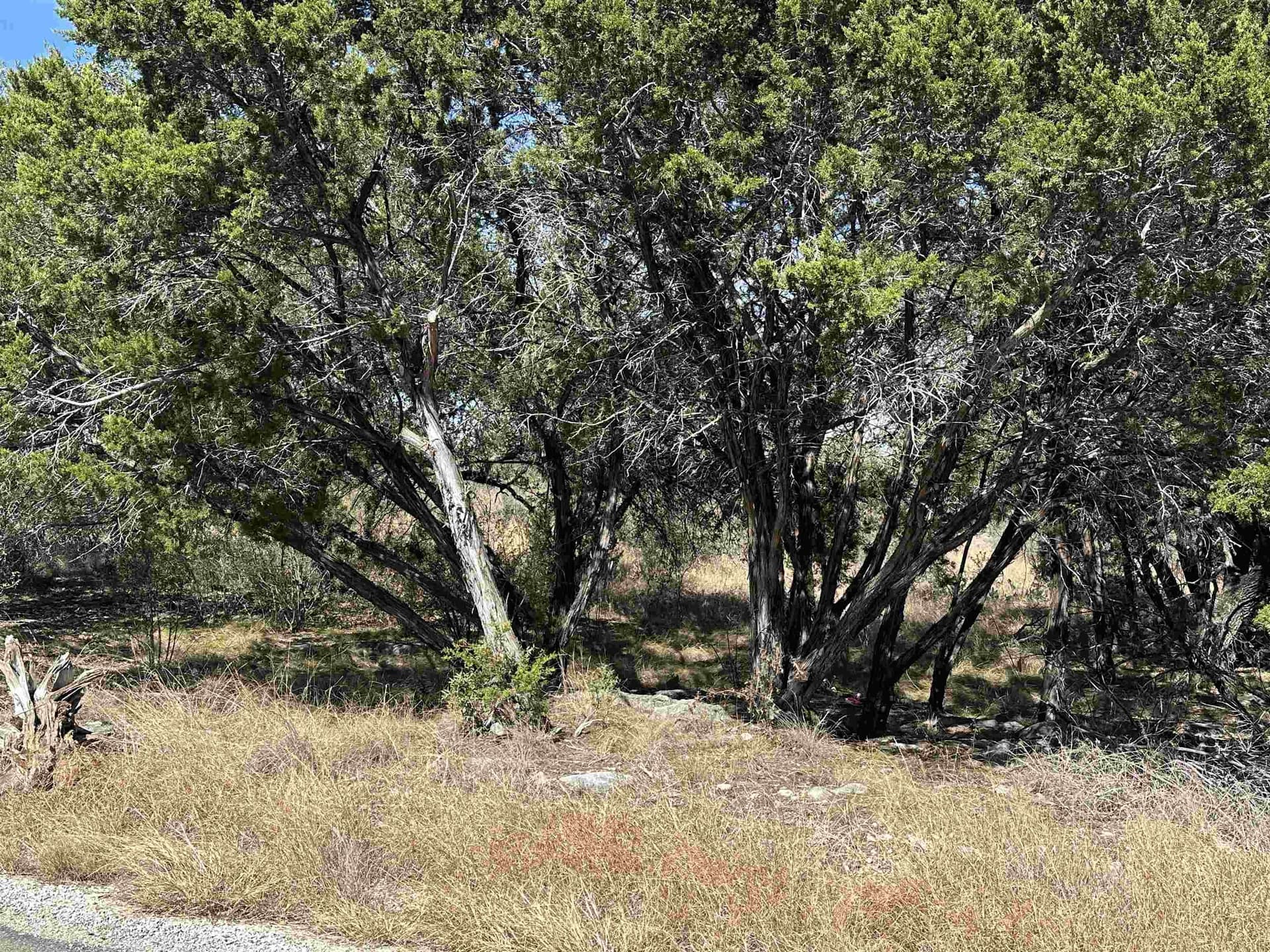 0.23 acres in Burnet County - photo 13