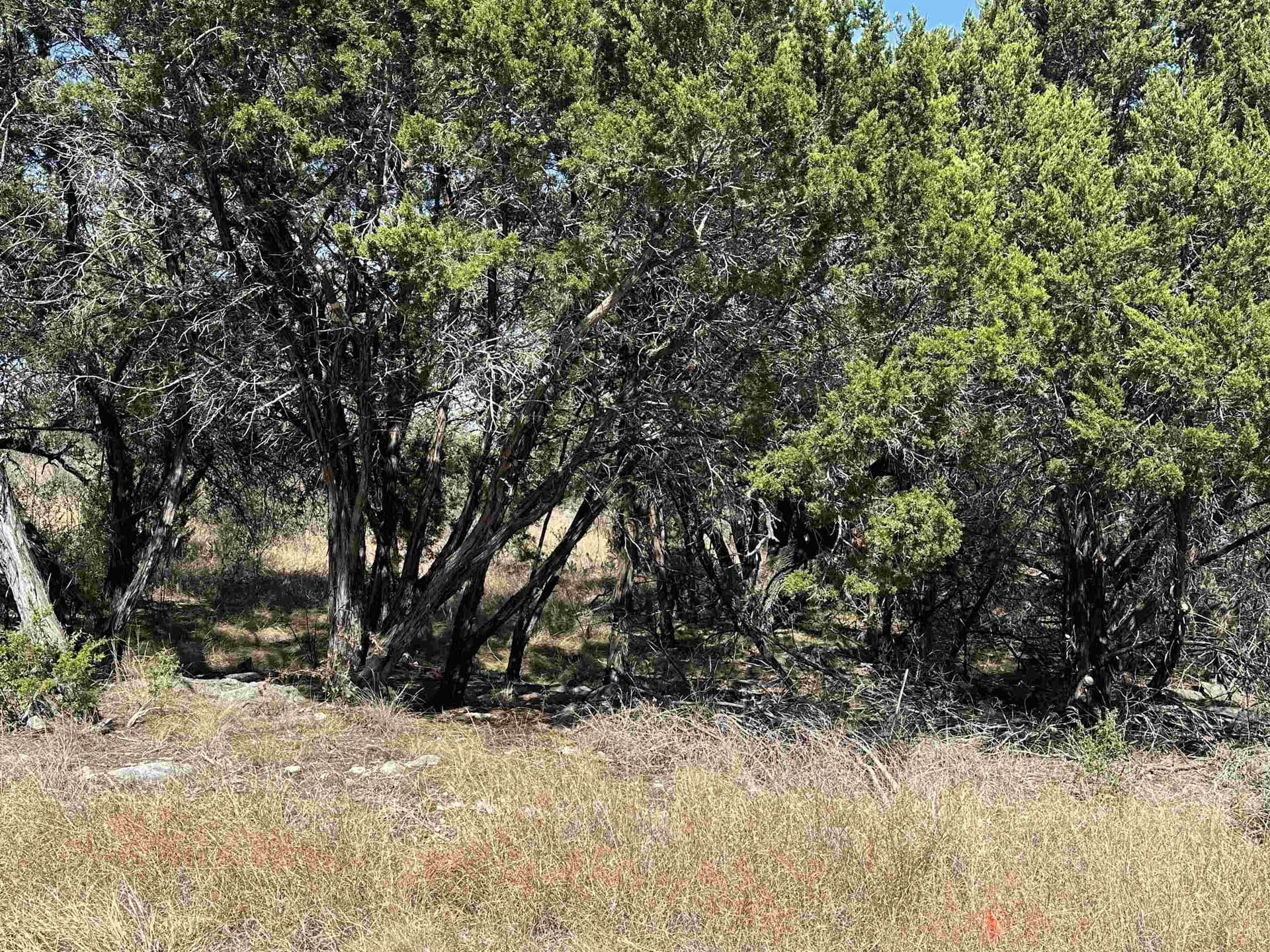0.23 acres in Burnet County - photo 11