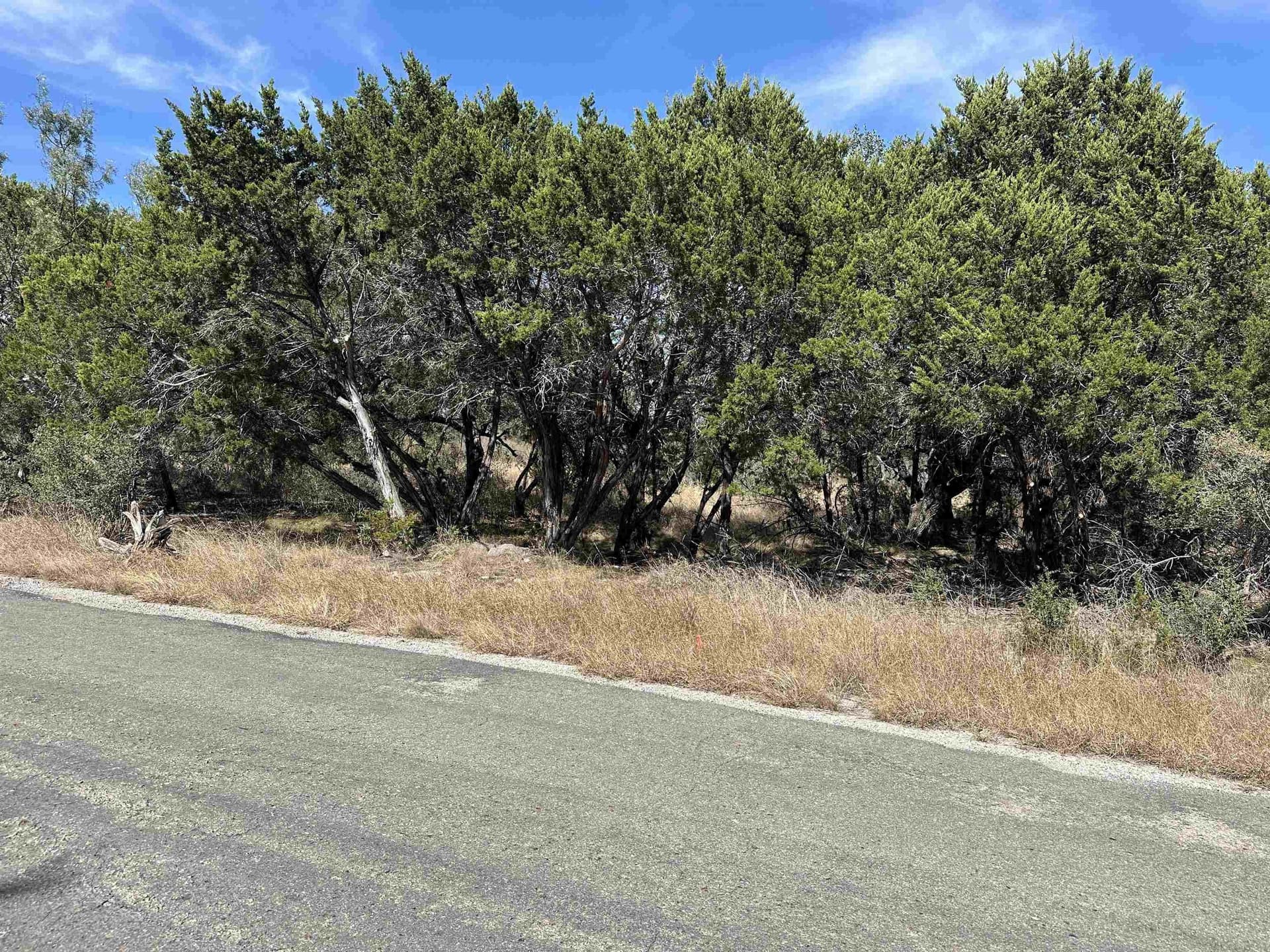 0.23 acres in Burnet County - photo 8