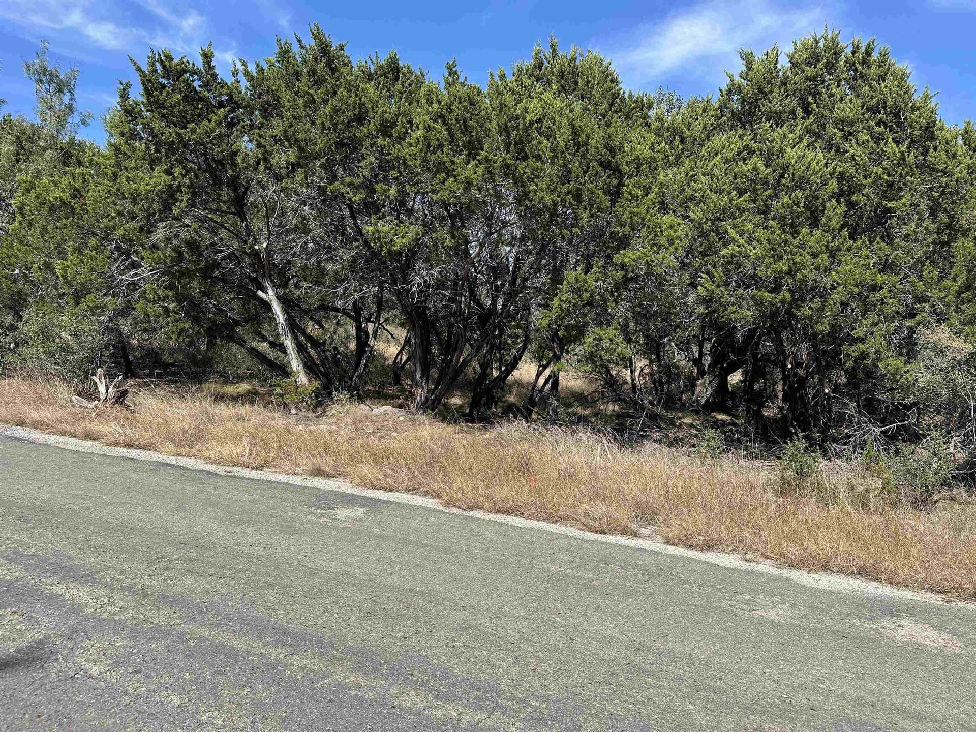 0.23 acres in Burnet County - photo 7