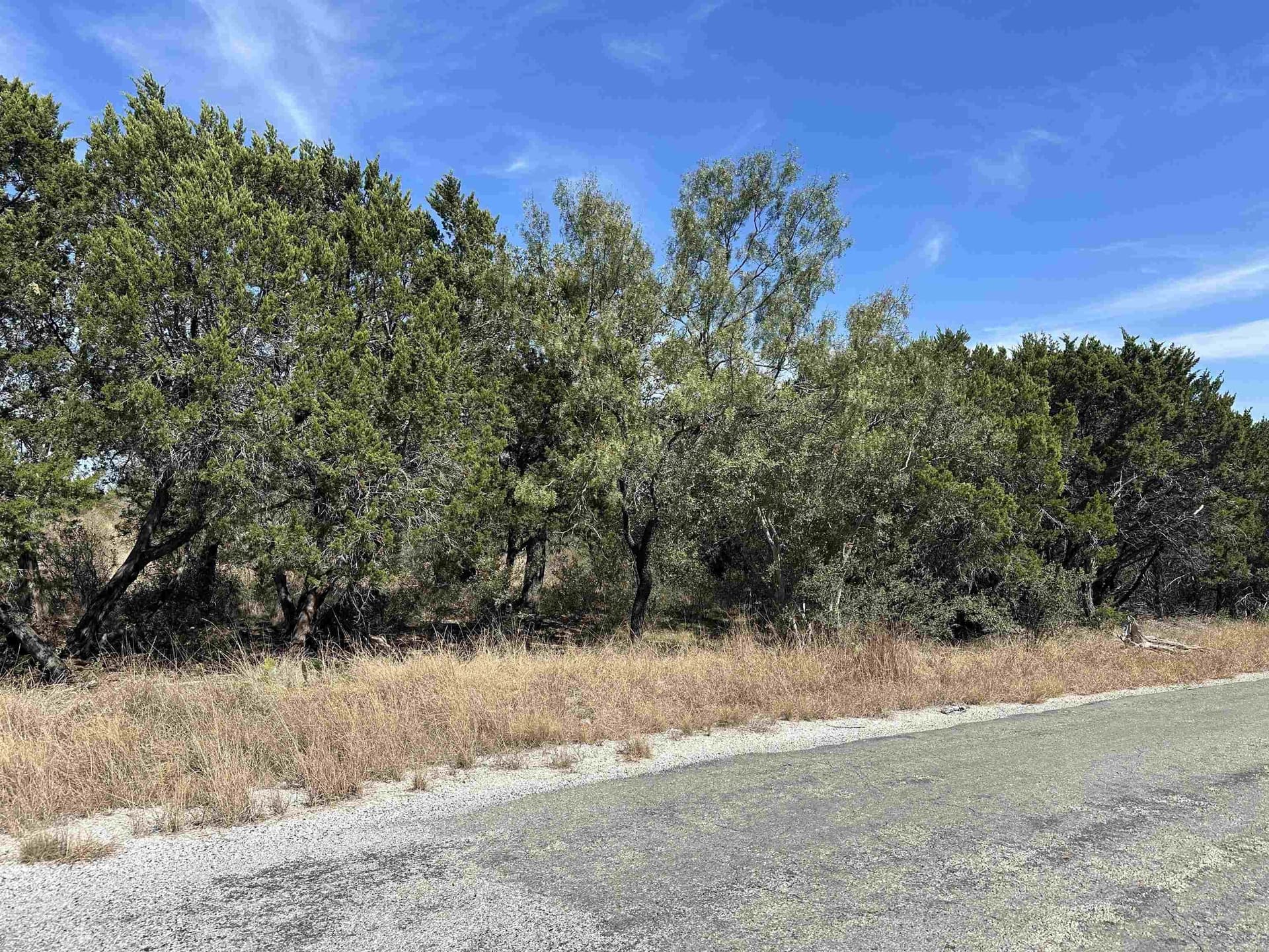 0.23 acres in Burnet County - photo 3