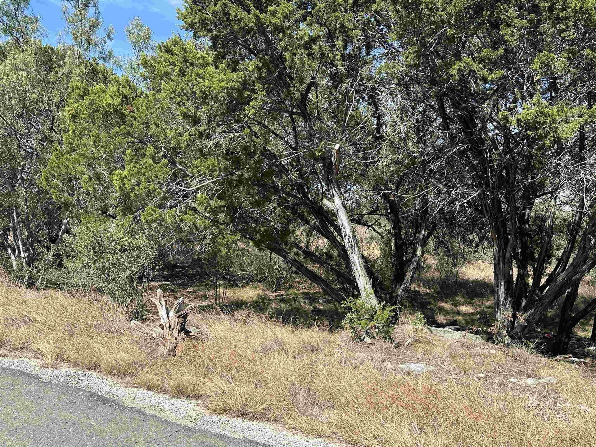 0.23 acres in Burnet County - photo 14