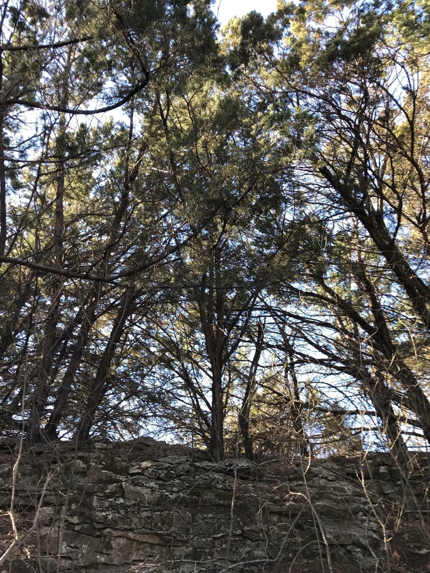 5.01 acres in Palo Pinto County gallery image 2