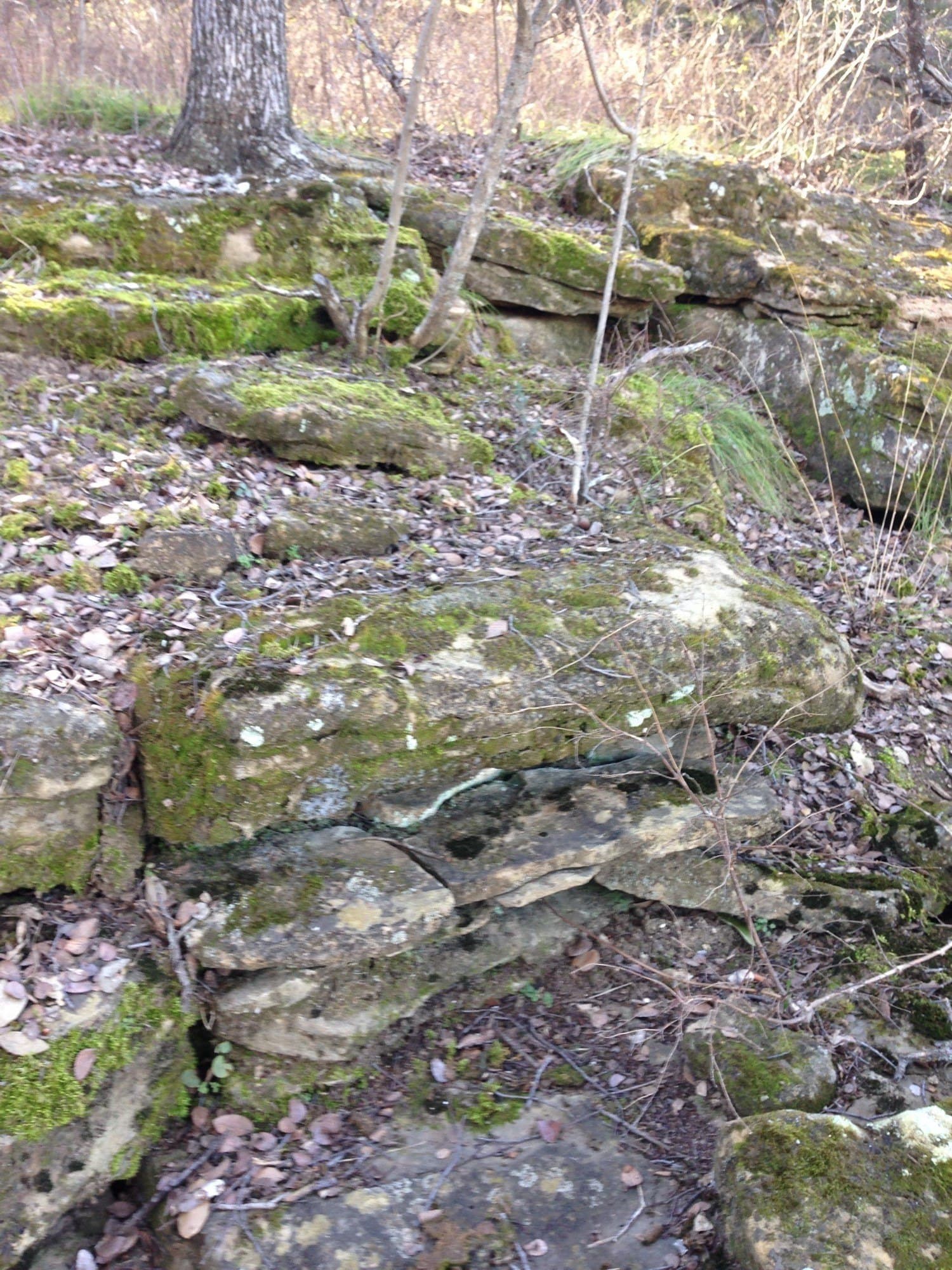 5.01 acres in Palo Pinto County gallery image 3