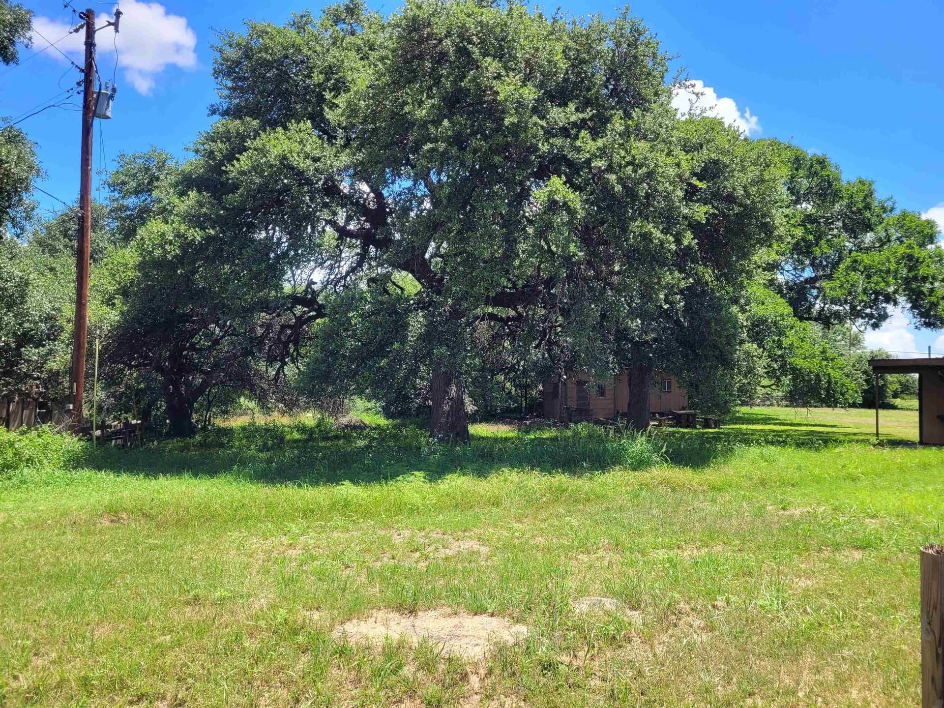 0.2 acres in Llano County gallery image 4